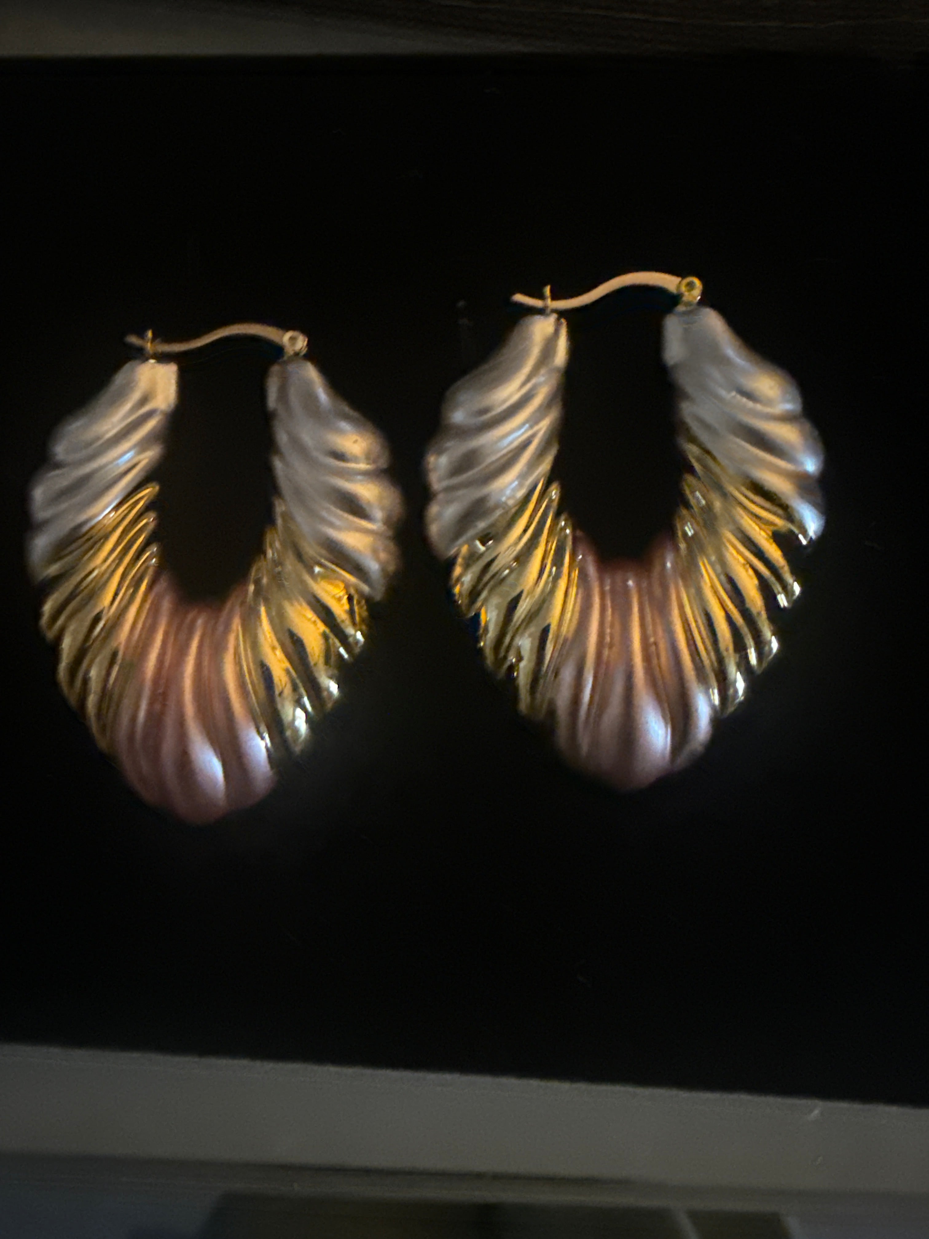 Tricolor earrings